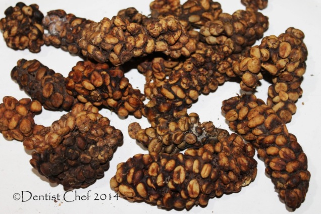 indonesian civet coffee recipe wild civet coffee kopi luwak asli indonesia